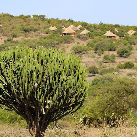 Africa Safari Maasai Boma Camping Serengeti-Savanne Exterior foto